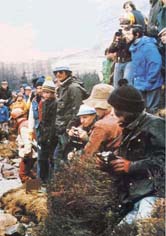 Enlarge photo